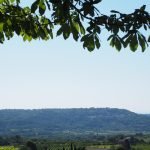 découvrez lacoste, la marque emblématique alliant élégance et sportivité avec ses vêtements, chaussures et accessoires intemporels.